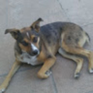 Meet your Posher, Jon